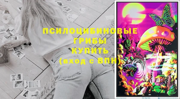 винт Инта