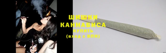 винт Инта