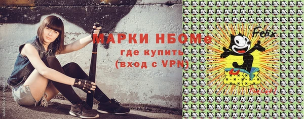 винт Инта