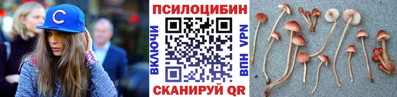 Псилоцибиновые грибы прущие грибы  Купить где  Чухлома 